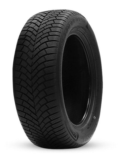 225/50R17 98V DOUBLE COIN DASP-PLUS XL